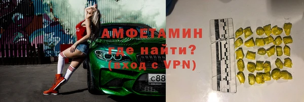 прущие грибы Абаза