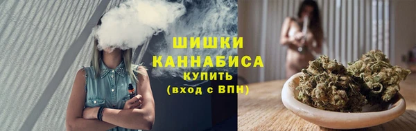 прущие грибы Абаза
