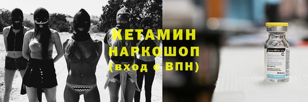 прущие грибы Абаза