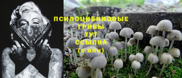 mdpv Абинск